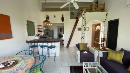 2 X 1Br Arbor Estate, 2 for 1, Beautiful Apartments in Cupecoy St. Maarten